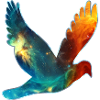 Space bird, cosmos, universe, space, galaxy