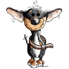 Happy Chihuahua Dog