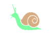 Snail