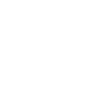 English bulldog