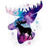 Elk