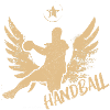 handball throw jump gift
