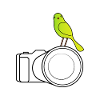 Tierfotograf - Kamera mit Vogel