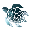 Tortue