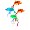 Aquarium