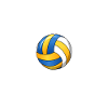 Volleyball