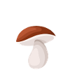 Pilz Flüsterer