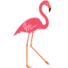 flamingo