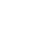 Anchor seagulls