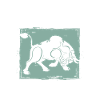 Bulle Stier
