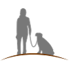 Frau Weiblich Labrador