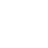Bitcoin Rebel