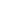 Bitcoin Rebel