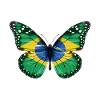 Drapeau papillon du brésil