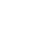 Schnauzer Soul dog