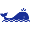 Baleine