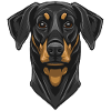 Dobermann