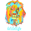 Wildlife Cat