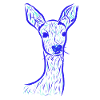 Cerf