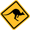 Kangourou