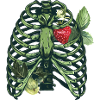 Plant Chest Strawberry