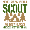 Scout campsite