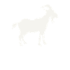 shepherd