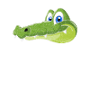 Alligator