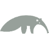 Anteater