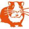 Hamster