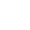 roller coaster