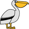 Pelican