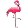 Flamingo Poster