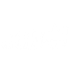 Evolution Cheval - Equitation