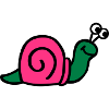 Snail