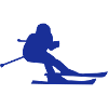 ski cross skier