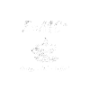 E = MC2 Energie-Lait-Café Science