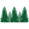 pine trees