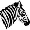 Zèbre