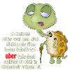 Schildkröte