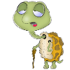 Schildkröte