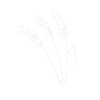 Grain