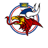 Viking Griffin Rostock - Conception