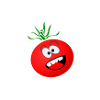treulose Tomate