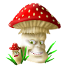 champignons
