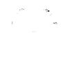 Widder - Sternzeichen - Horoskop