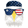USA eagle with headscarf