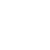 Pit Bull