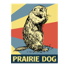 Jorden Egern Prærie Hund Marmot Prærie Gnaver