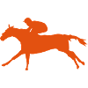 cheval course hippique